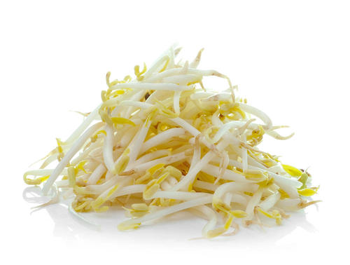 豆芽